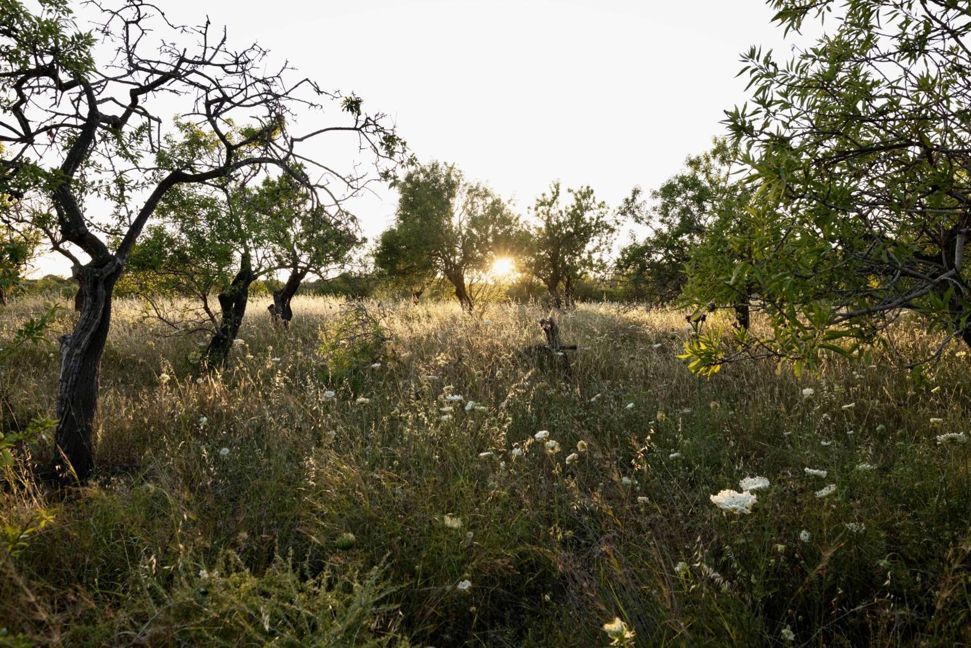 Soul Valley All-In Boutique Hotel With Yoga & Wellness Maracalagonis Eksteriør bilde