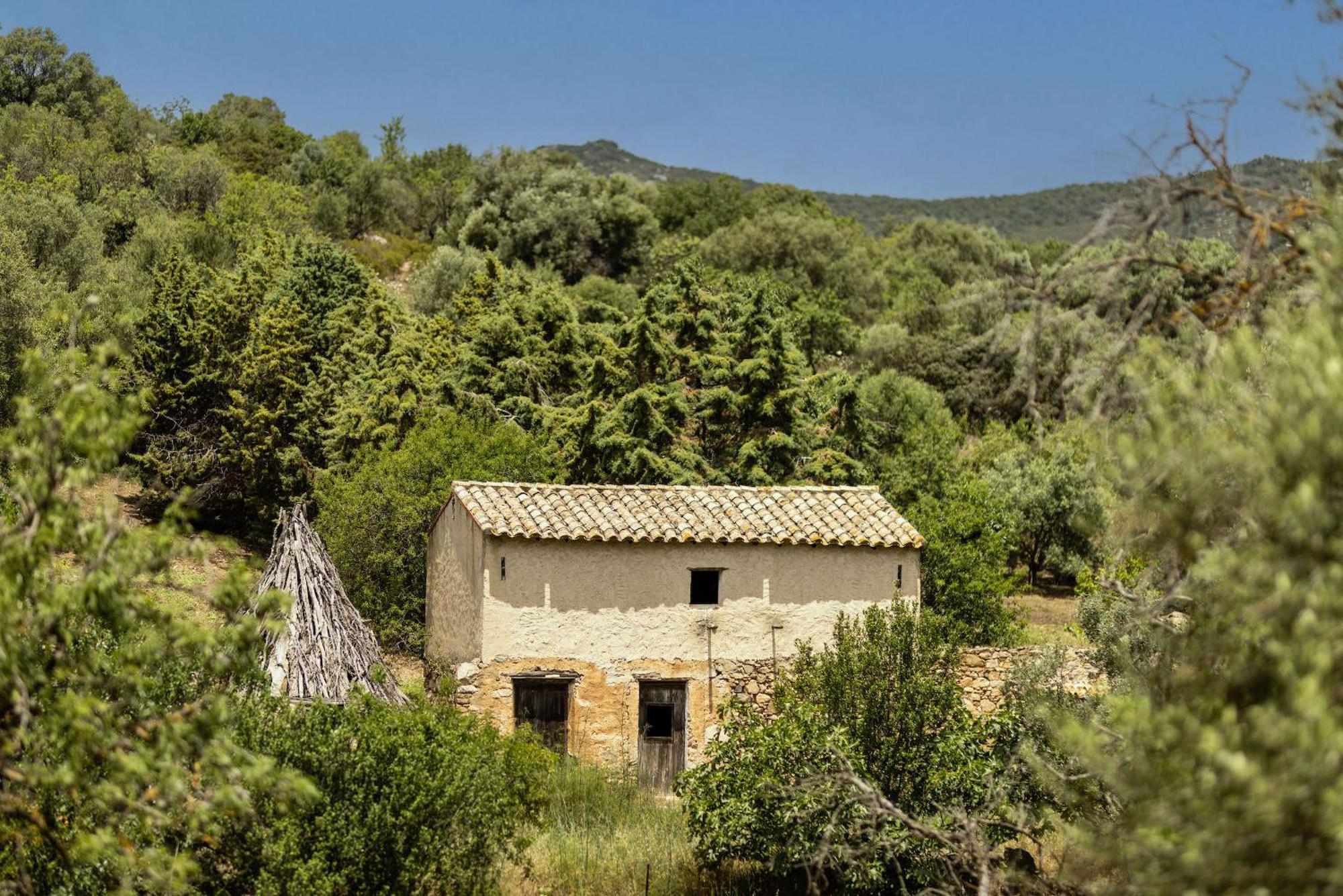Soul Valley All-In Boutique Hotel With Yoga & Wellness Maracalagonis Eksteriør bilde
